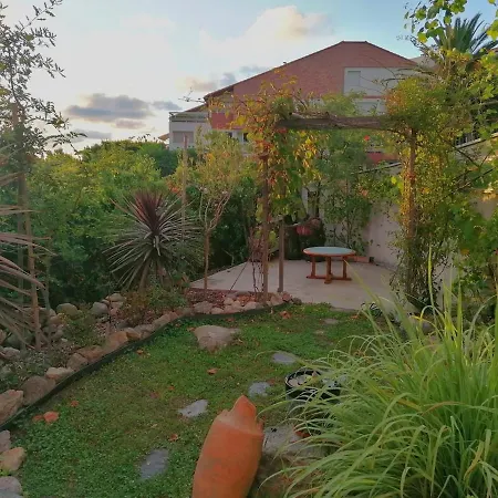 Apartment Avec Jardin Proche Ocean *